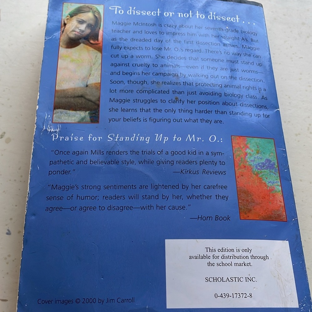 Chapter book - Picture 5 of 5